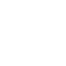 LinkedIn Iconex